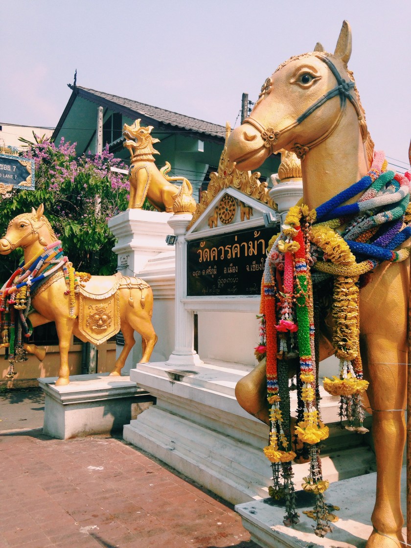 Processed with VSCOcam with c1 preset