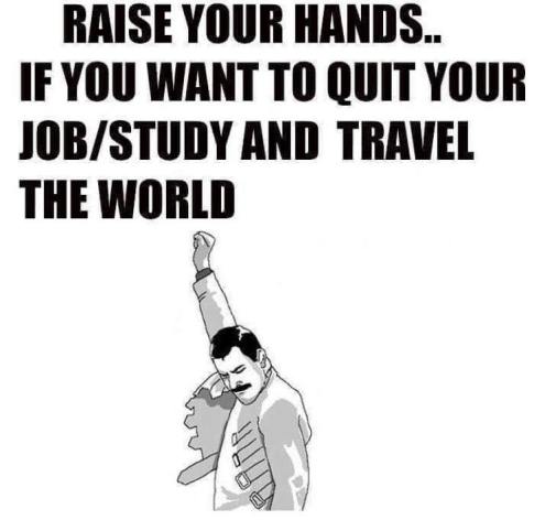 13457603_10206718109095757_515130224_n