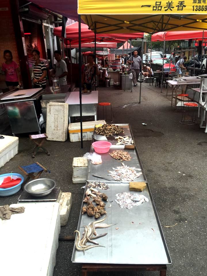 14112119_10207162802132805_1046634536_n